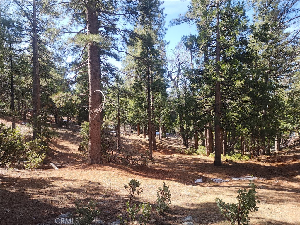 52547 Pine Cove Property Photo 46