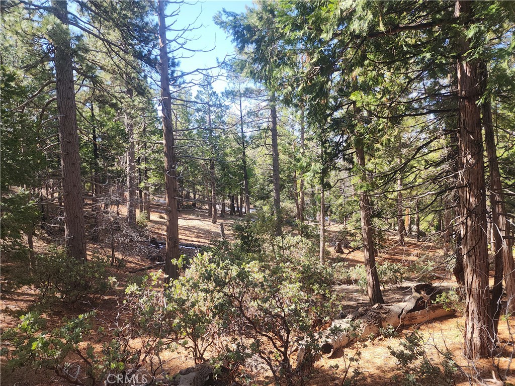 52547 Pine Cove Property Photo 48
