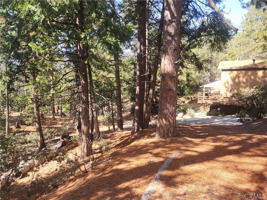 52547 Pine Cove Property Photo 49