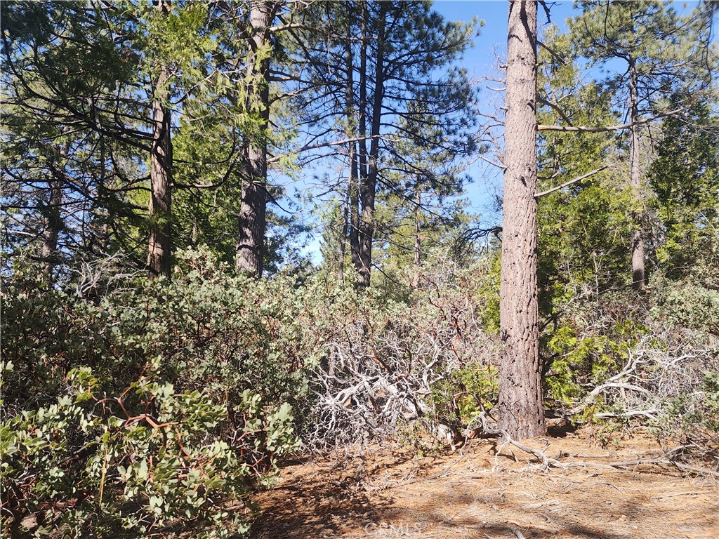 52547 Pine Cove Property Photo 53