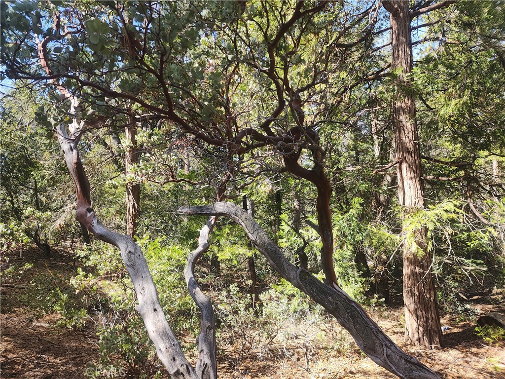 52547 Pine Cove Property Photo 54