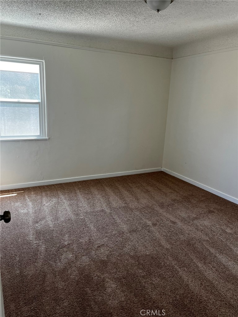 862 W 41st Street Property Photo 18