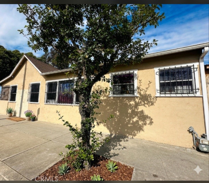 1354 W 84th Street Property Photo 3