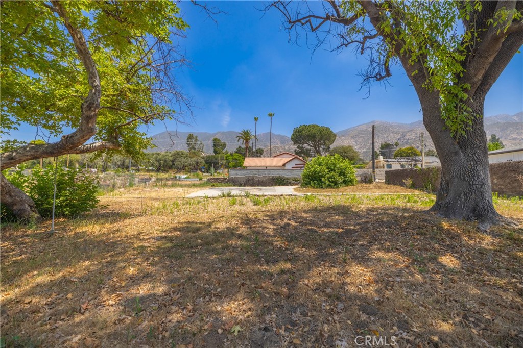 3383 Glenrose Avenue Property Photo 12