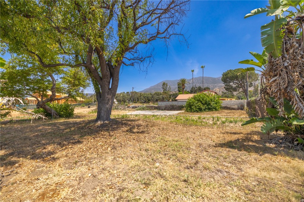 3383 Glenrose Avenue Property Photo 13