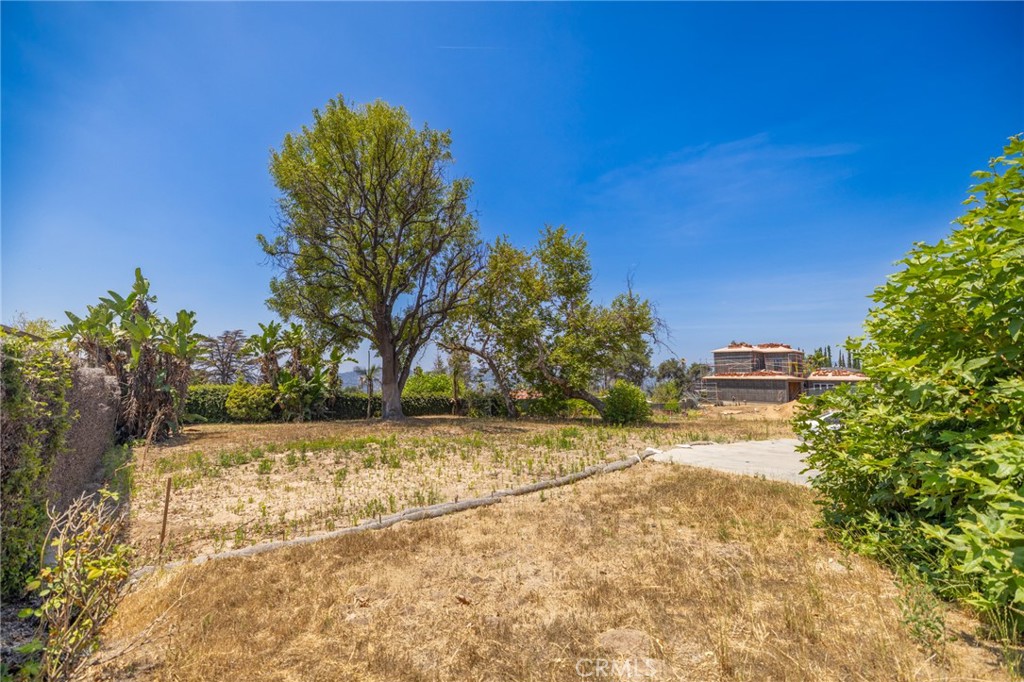 3383 Glenrose Avenue Property Photo 14