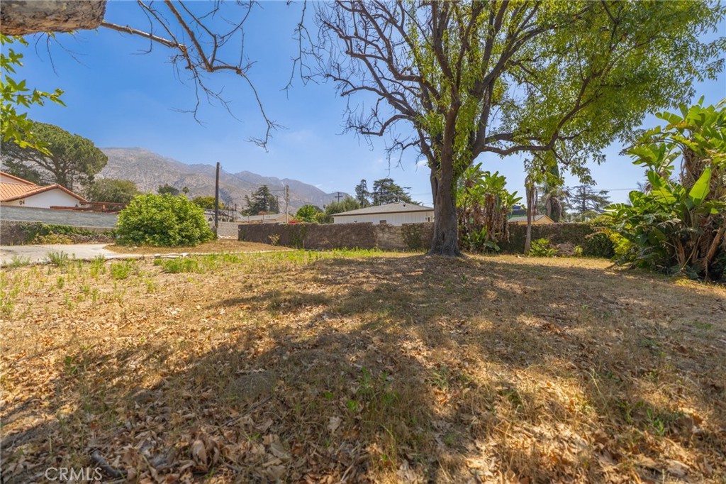 3383 Glenrose Avenue Property Photo 15