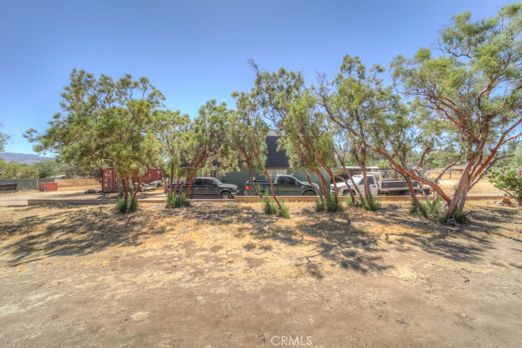 59145 Roger Property Photo 43