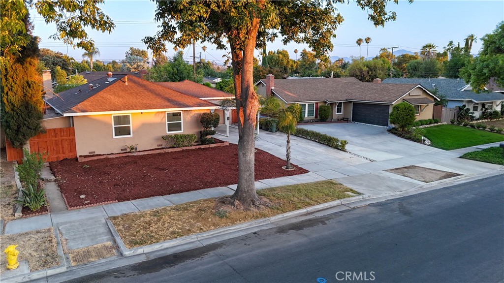 8584 Camelia Property Photo 3