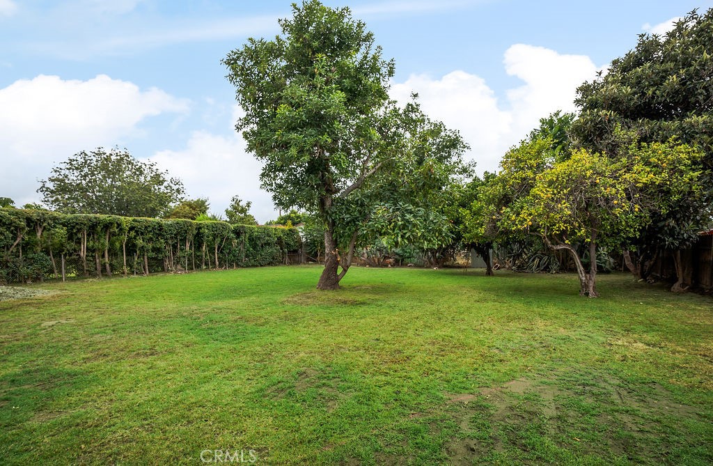 5323 Cogswell Property Photo 54