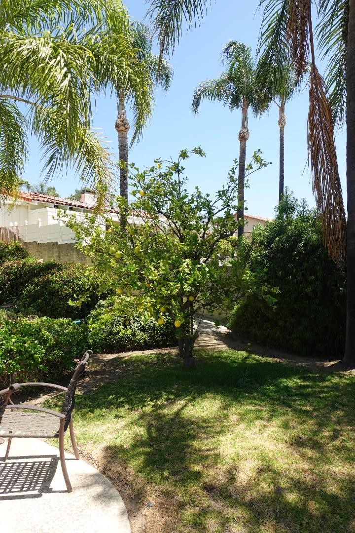 2534 E Vista Property Photo 5