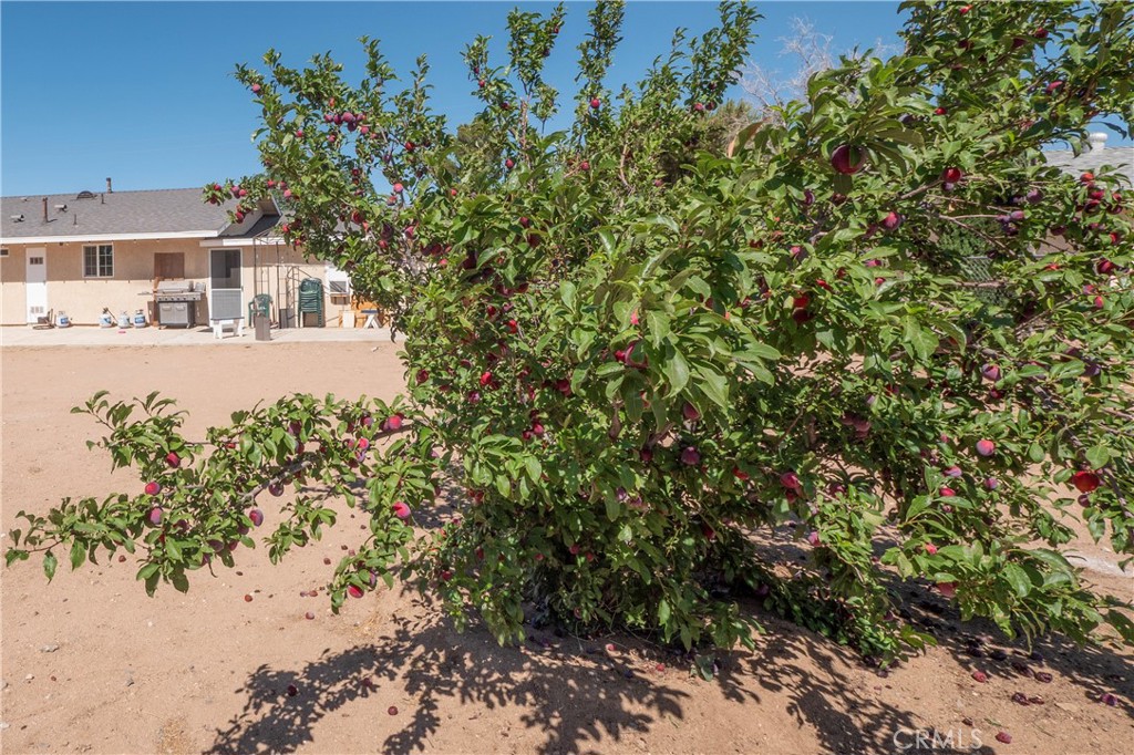 10707 Redwood Property Photo 25