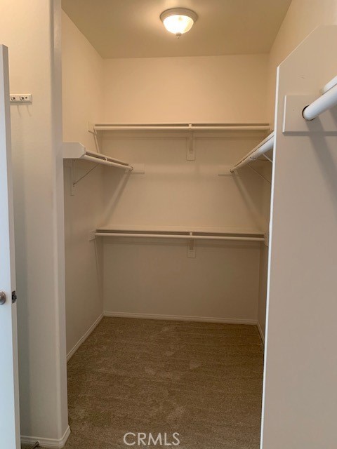 3647 Savanna Way Property Photo 18