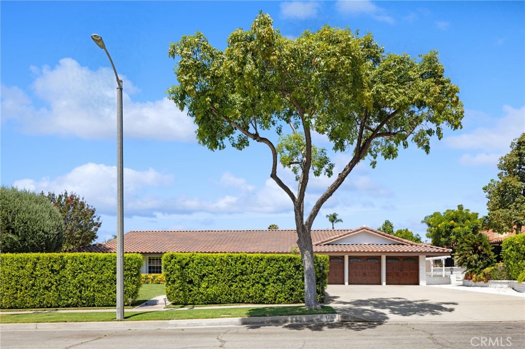 1763 N Vallejo Way Property Photo 8