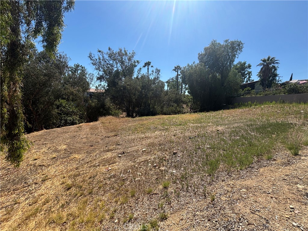 8901 Camino Predera Property Photo 1