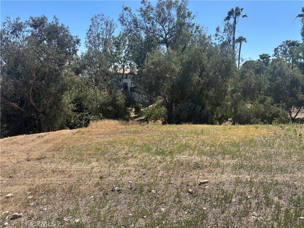 8901 Camino Predera Property Photo 2