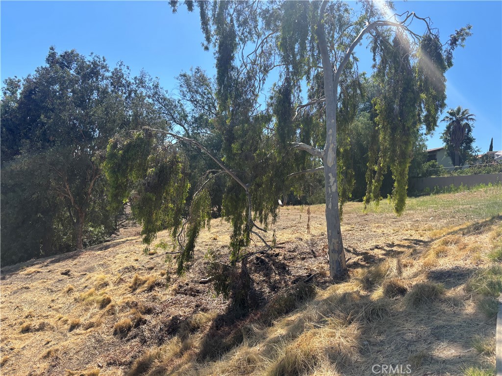 8901 Camino Predera Property Photo 4