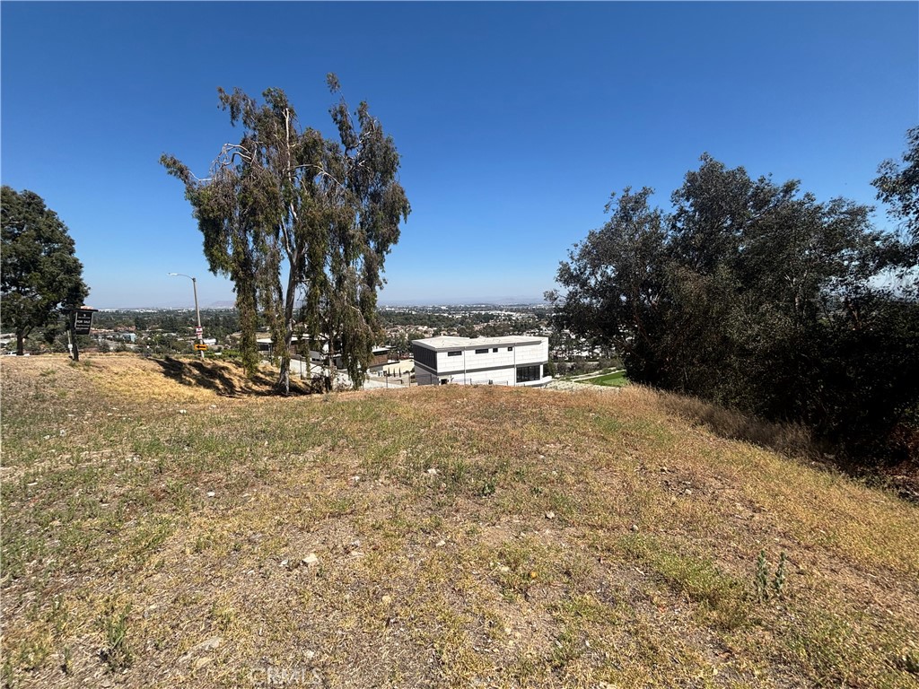 8901 Camino Predera Property Photo 5