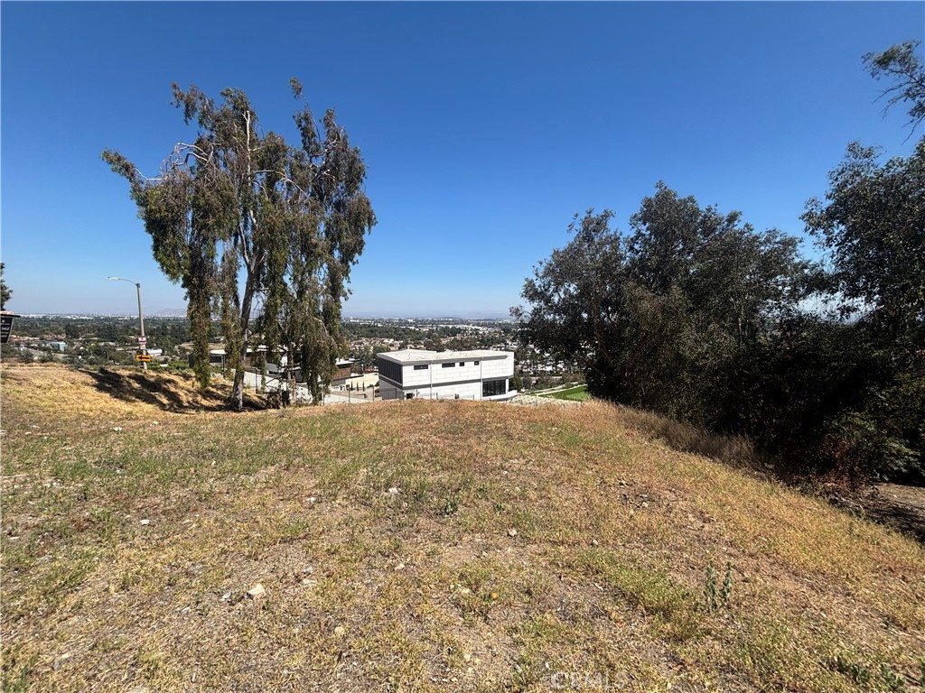 8901 Camino Predera Property Photo 6
