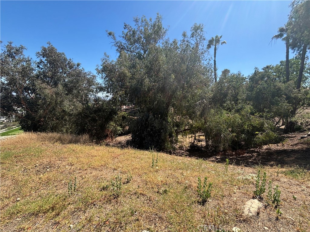 8901 Camino Predera Property Photo 7