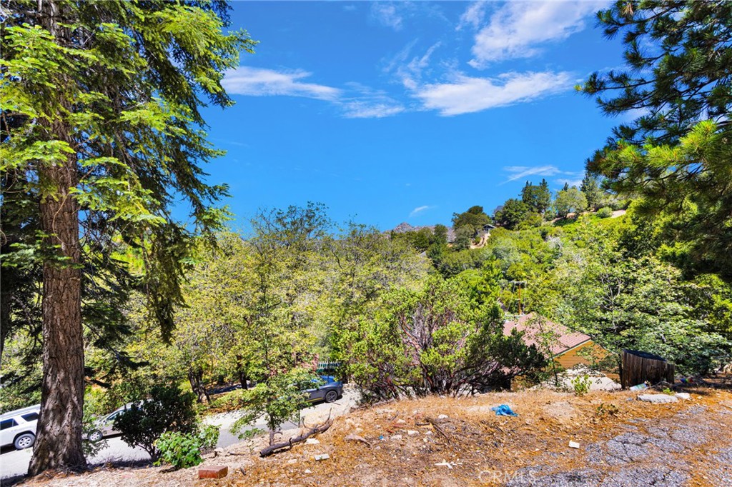 1333 Finger Property Photo 8