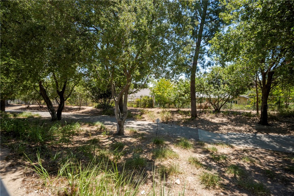 1555 Big Bend Property Photo 49