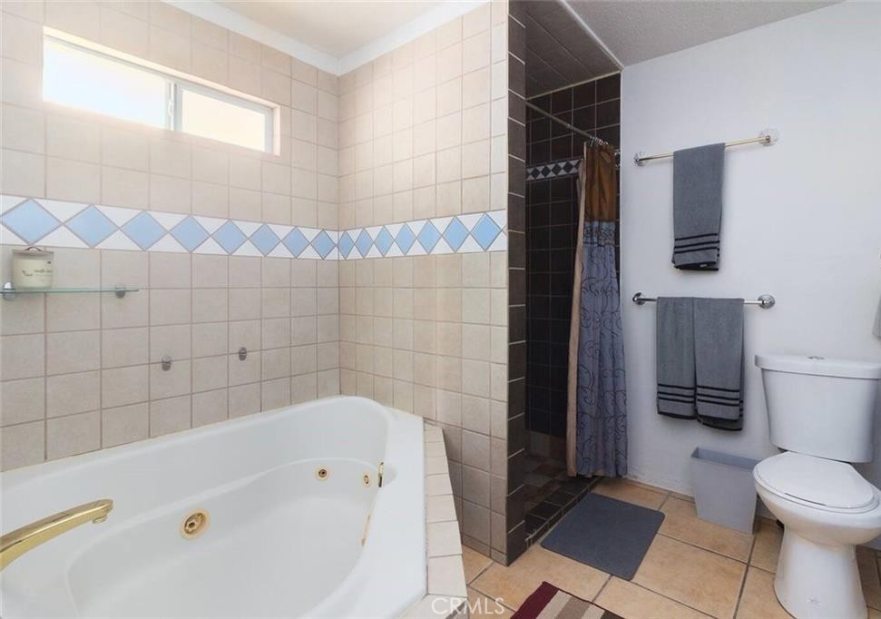 45472 Deglet Noor Property Photo 10