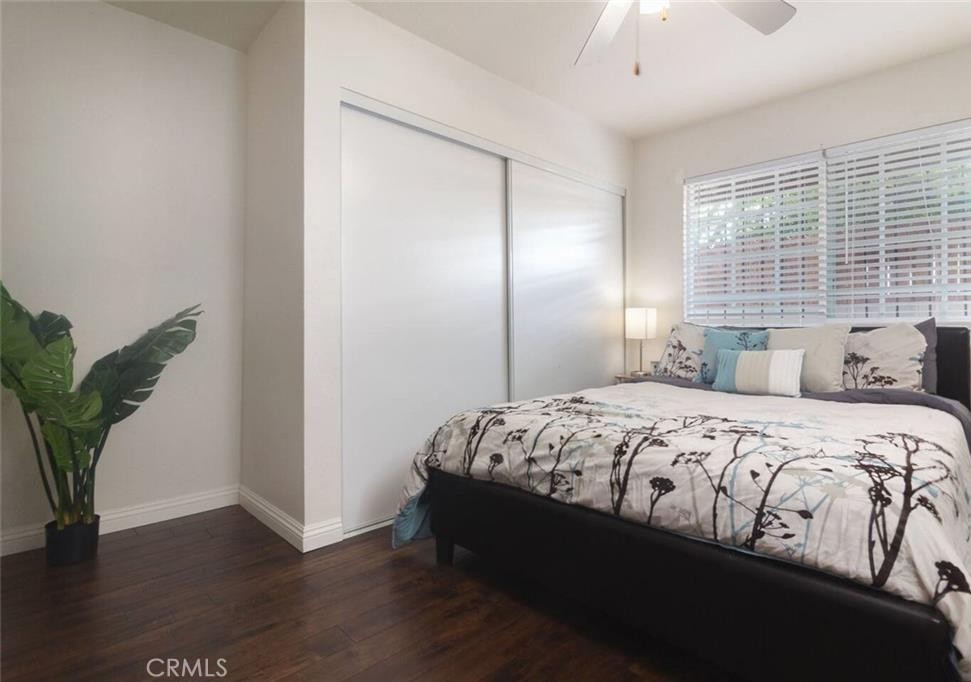 45472 Deglet Noor Property Photo 14