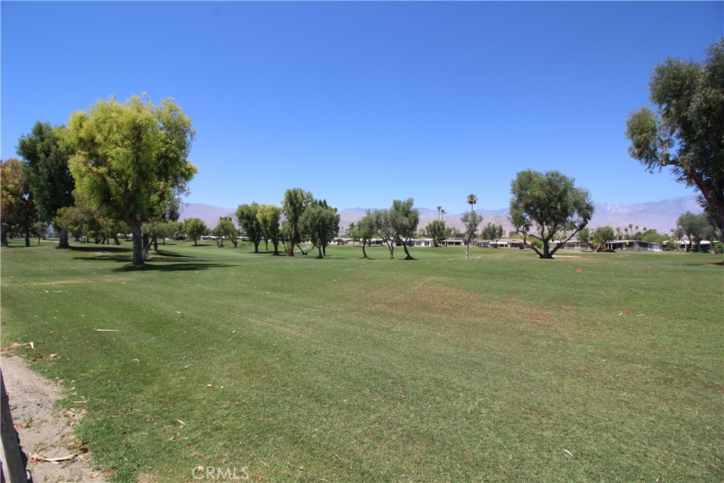 39105 Manzanita Drive Property Photo 10