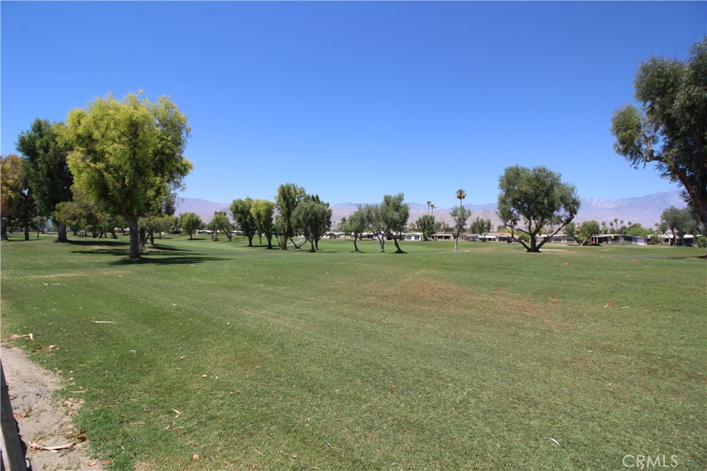 39105 Manzanita Drive Property Photo 12
