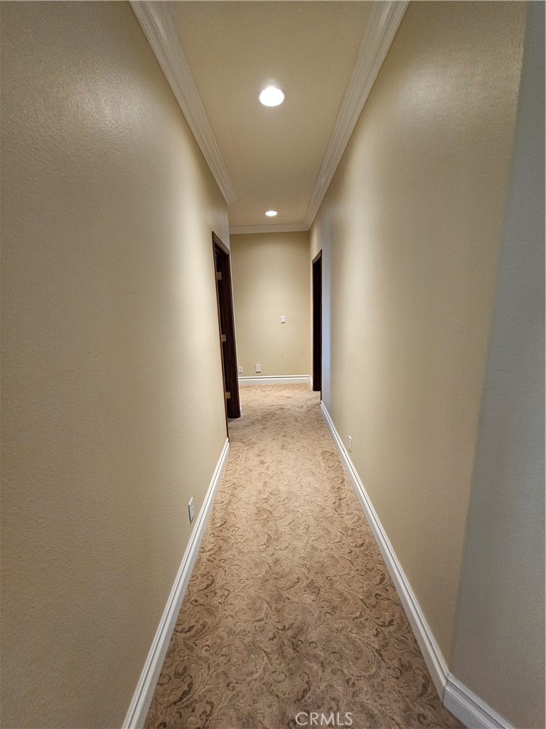 16796 Katie Property Photo 22