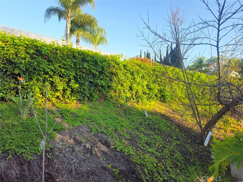 16796 Katie Property Photo 40
