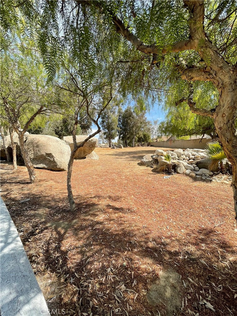 471 W San Jacinto Ave Property Photo 25