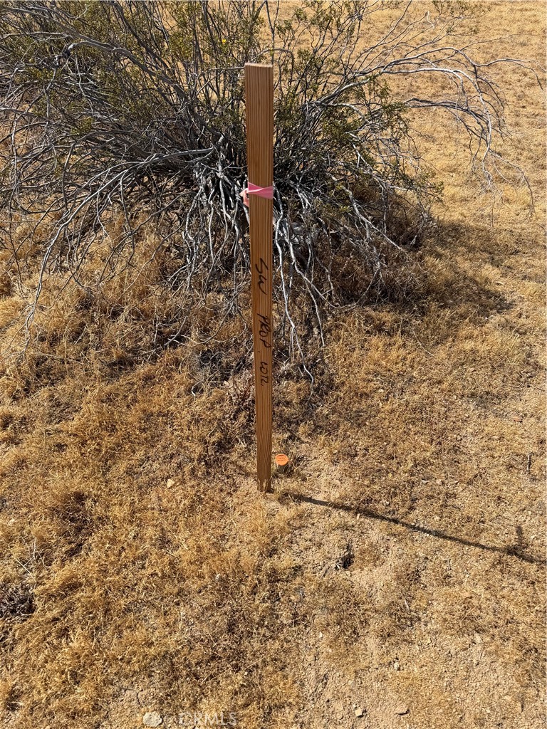 0 Hogan Property Photo 3