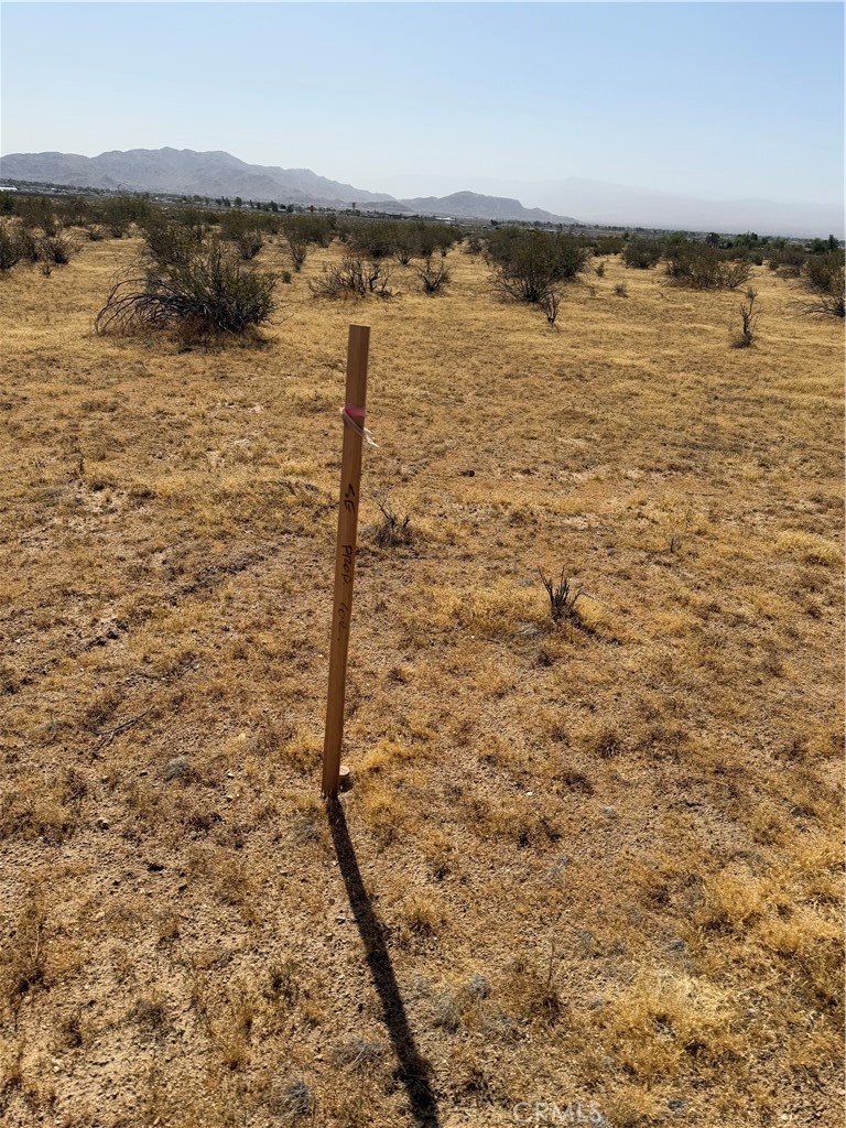 0 Hogan Property Photo 4