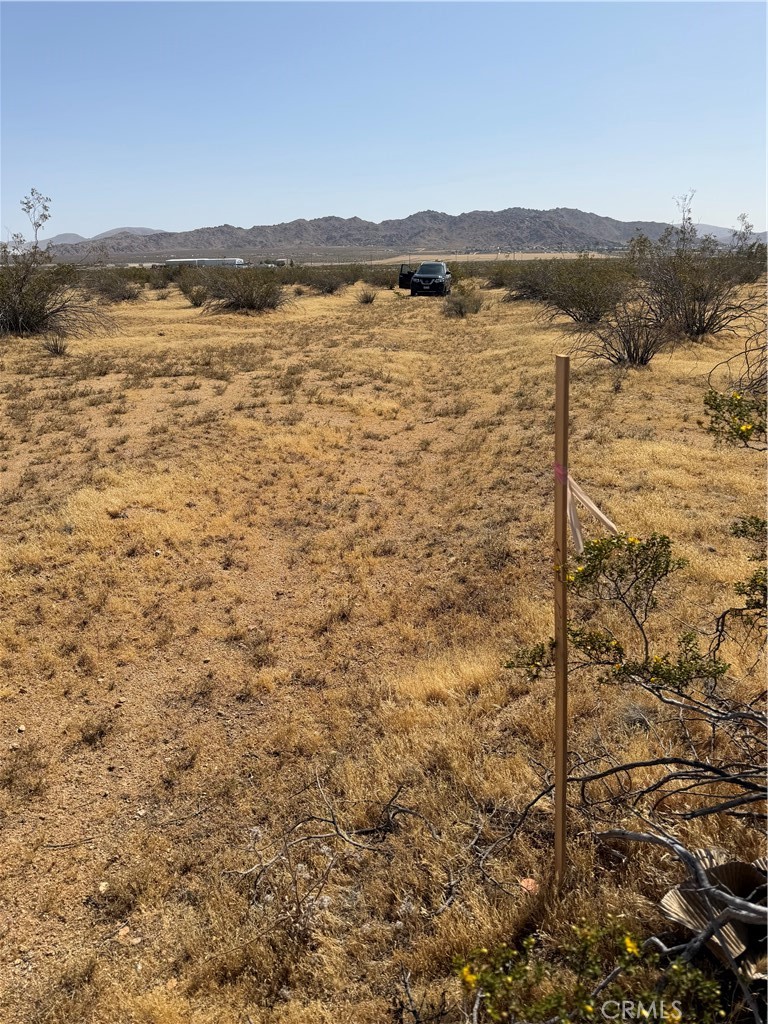 0 Hogan Property Photo 6