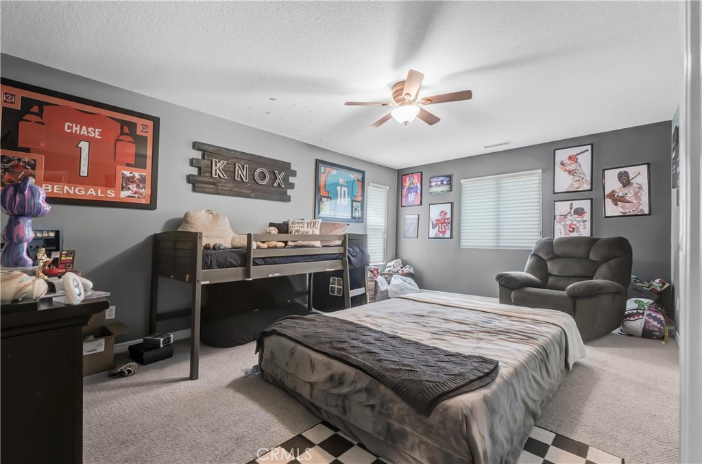 27126 Coral Bells Way Property Photo 41