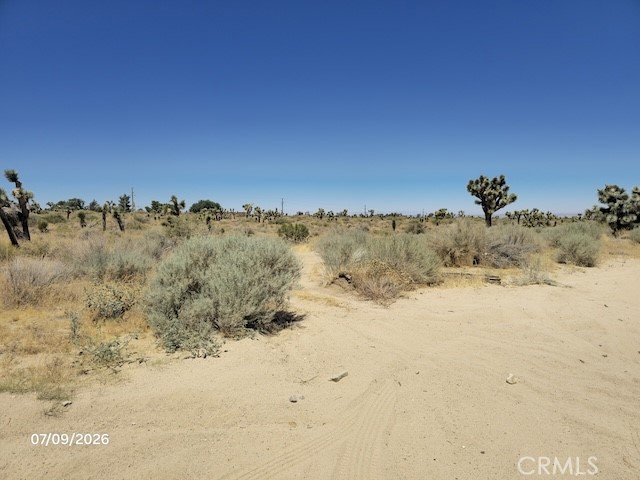 0 Daisy Road Property Photo 2