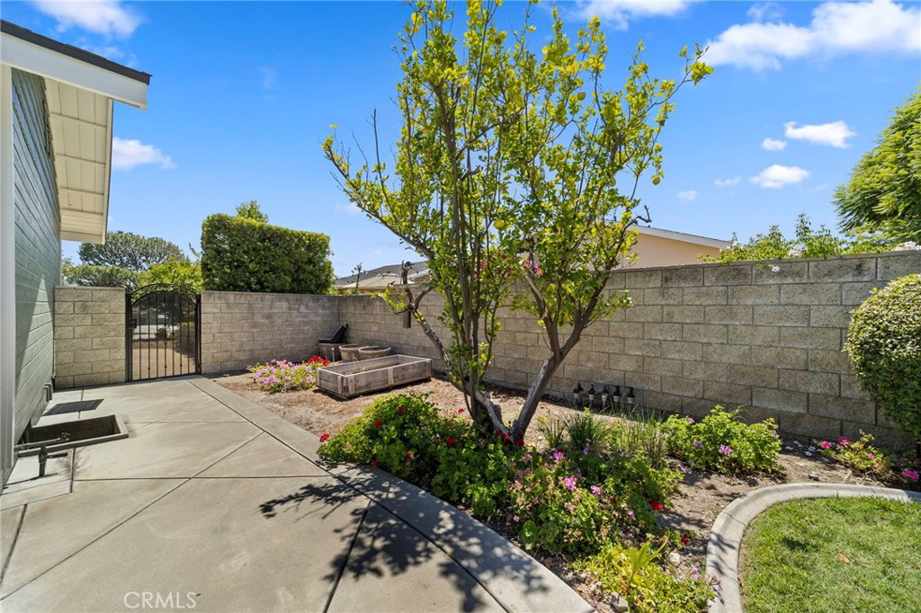963 E Meda Property Photo 33