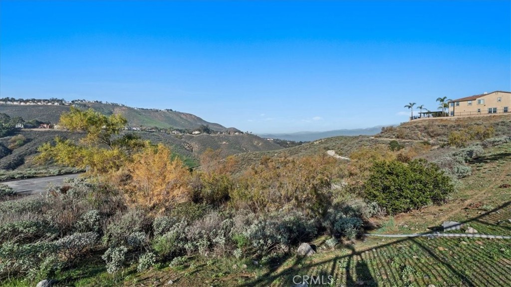 17262 Carrotwood Property Photo 28