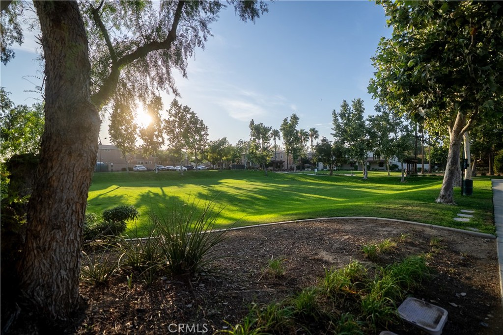 3078 E Via Rosso Property Photo 22