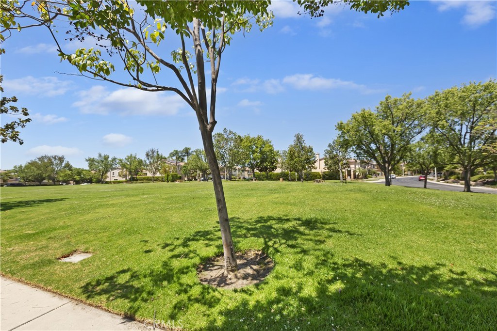 7340 Legacy Property Photo 37