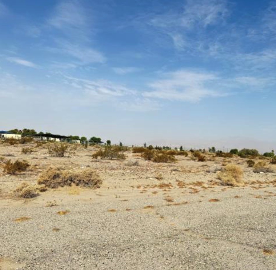 2497 Sea Lite Property Photo 4