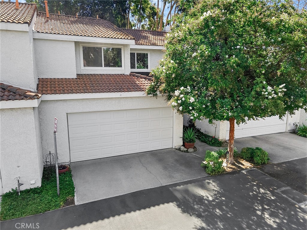 2245 Smoke Tree Lane Property Photo 3