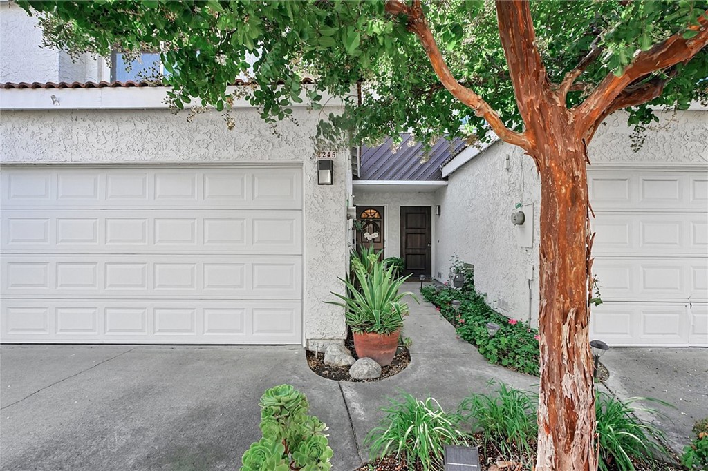 2245 Smoke Tree Lane Property Photo 6