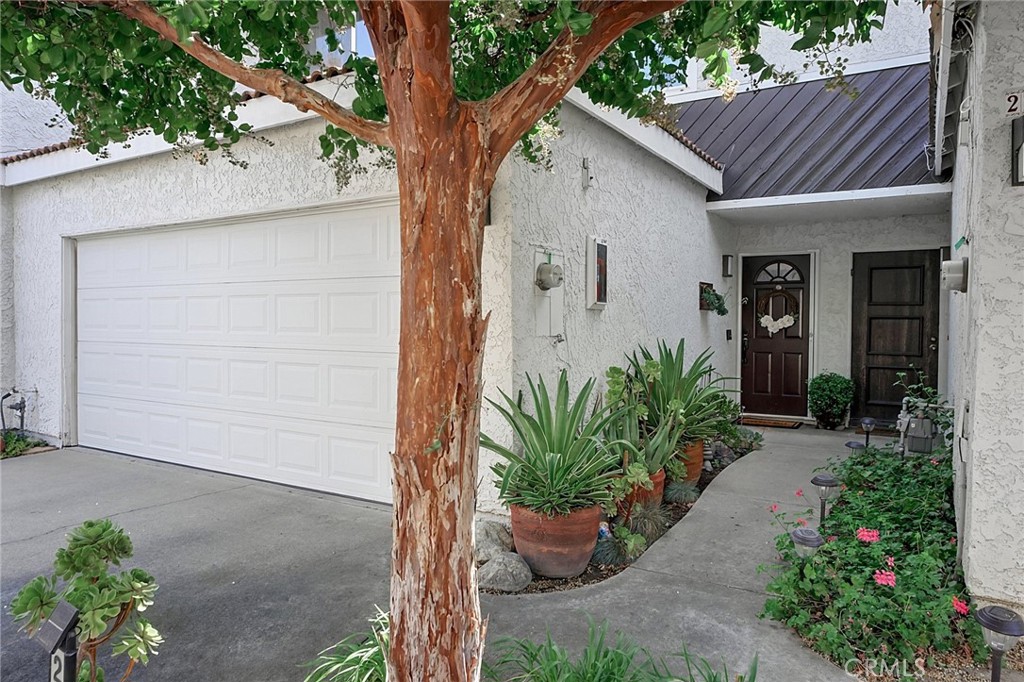 2245 Smoke Tree Lane Property Photo 7