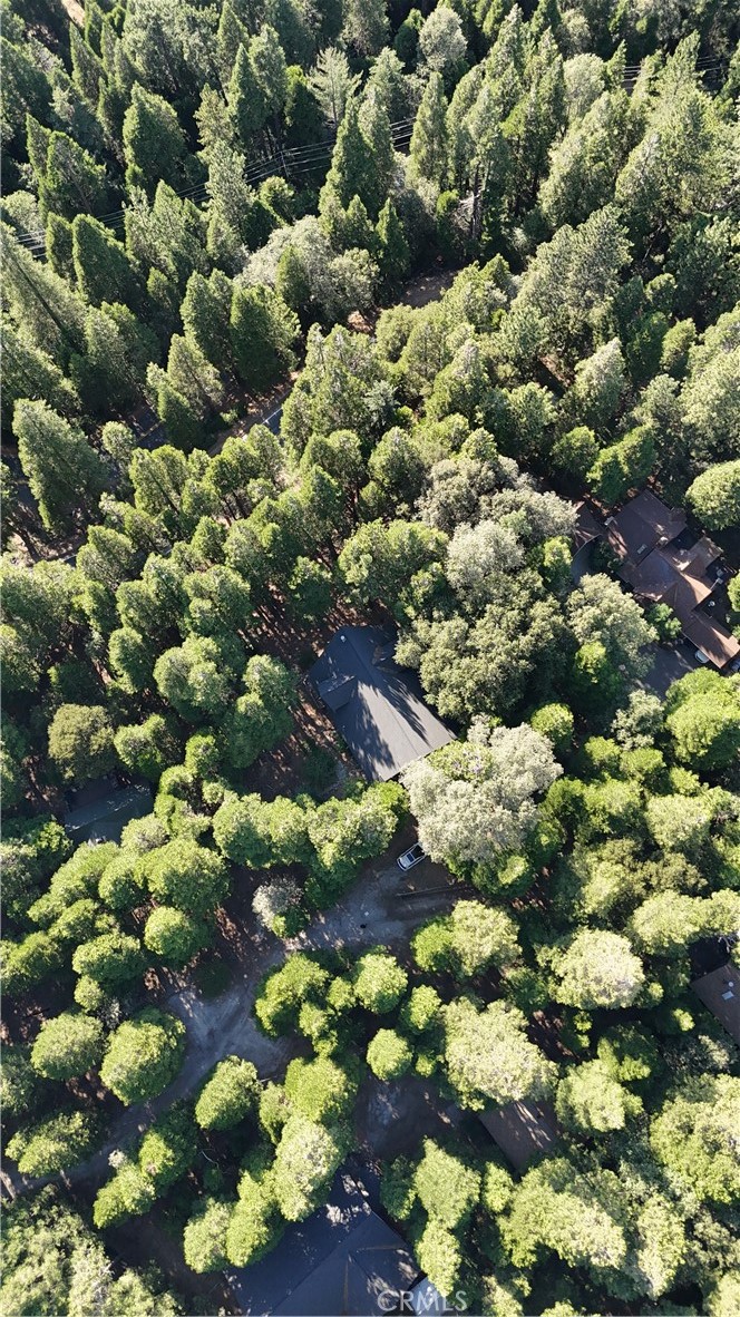 23245 Crest Forest Property Photo 7