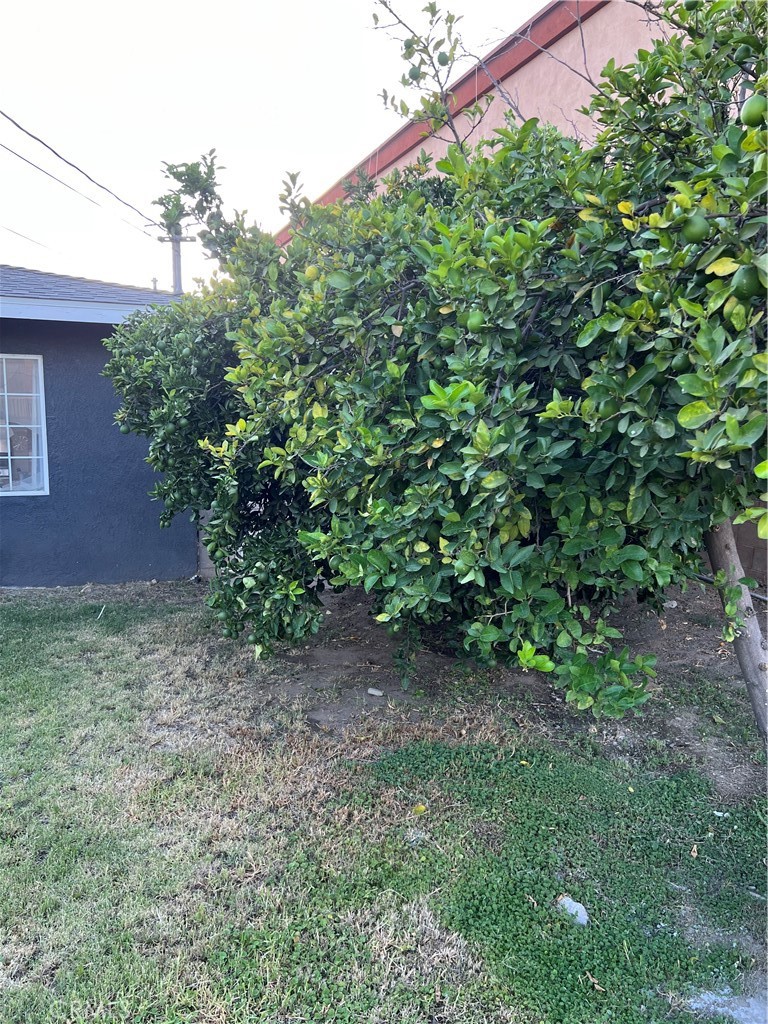 8928 Date Property Photo 29