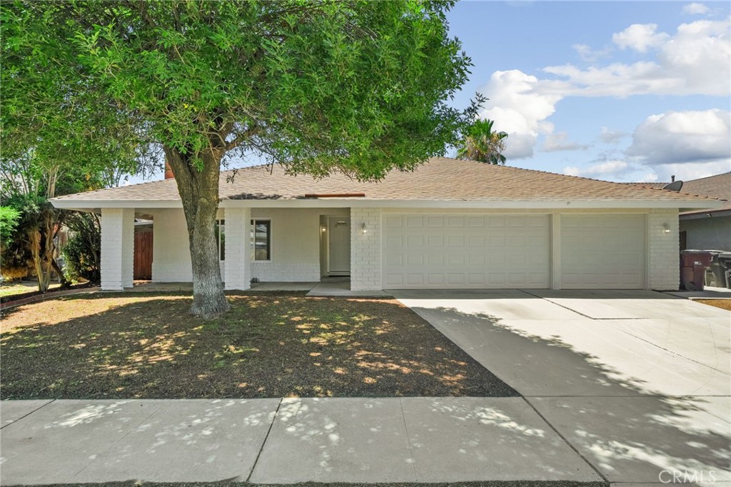 24233 Millsap Property Photo