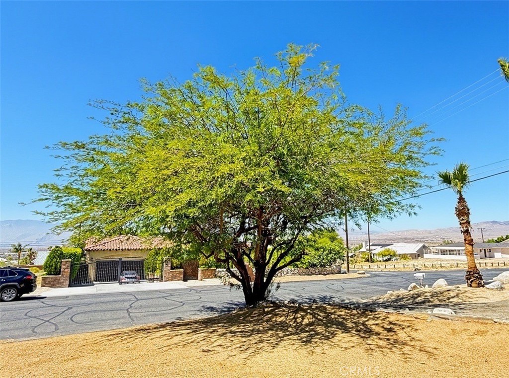 66820 Yucca Property Photo 12
